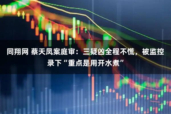 同翔网 蔡天凤案庭审：三疑凶全程不慌，被监控录下“重点是用开水煮”