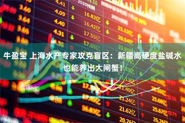 牛盈宝 上海水产专家攻克盲区:新疆高硬度盐碱水也能养出大闸蟹!